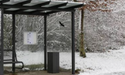 Durakta beklerken can verdi