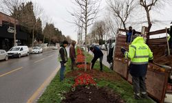Daha yeşil Sakarya için çalışmalar!