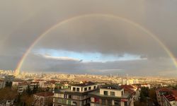 Sakarya'da yağmur sonrası bahar geliyor