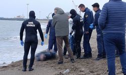 Karasu'da bulunan cesette yeni detaylar