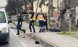 D-650'de karşıya geçerken can verdi!