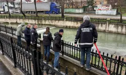 Hendek’te çevre alarmı: Balıklar ölüyor