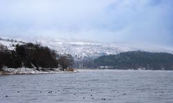 Yağışlar Sapanca Gölü'ne şifa oluyor