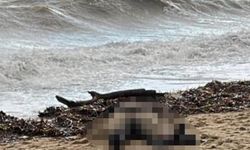 Kıyıya vuran kadın cesedinde sır perdesi aralanıyor