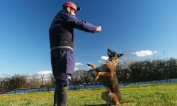 K9 ekibi olası afetler için hazır bekliyor