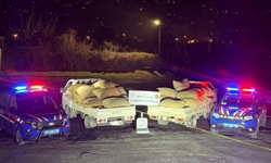 Karasu’da fındık üreticisine terazi tuzağı