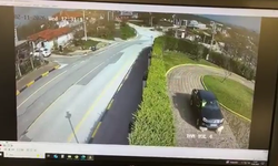 Valilikten köpek ölümü iddialarına yanıt