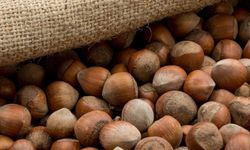 Fındık piyasasında durgunluk sürüyor