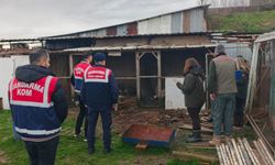 Kaçak avcılık operasyonunda onlarca hayvan kurtarıldı