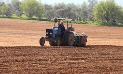 Sakaryalı çiftçiye müjde: Hesaplara yatmaya başladı