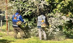 Serdivan'da bahar mesaisi