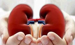 Böbreklerini düşünen bu programa