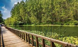 Acarlar Longozu’nun koruma statüsü güçlendirildi