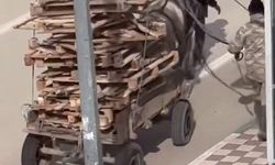 O görüntüler pes dedirtti