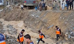 Selde onlarca hayvan telef oldu