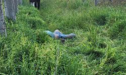 Kaybolan yaşlı adam cansız halde bulundu