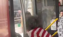 Yer kavgasında şoförün kolundu ısırdılar