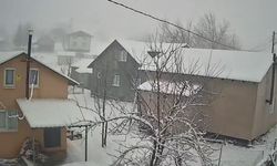 Sakarya'nın yüksek kesimleri beyaza büründü