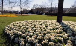 Sakarya bayrama çiçek açtı