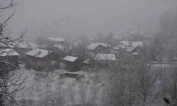 Merkezde yağmur kırsalda kar