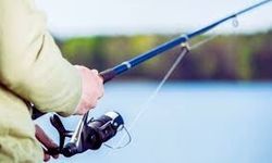 Sakarya'da av yasağı başladı!