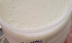 Son kullanma tarihi geçmemiş yoğurtta küf mağduriyeti