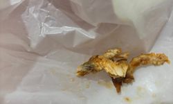 Bozuk döner iddiası!