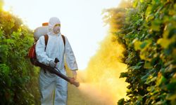 Demiryollarında ilaçlama alarmı