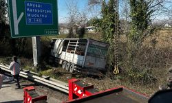 Kurbanlık taşıyan tır şarampole uçtu