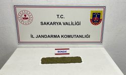 3 ilçede uyuşturucu operasyonu!