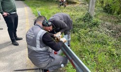 Hendek’te ulaşım güvenliğini artıran çalışma