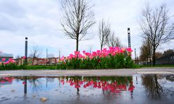 Sakarya'da bahar havası