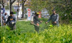 Bahar temizliği başladı