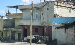 Annesini döverken araya giren eşini vahşice öldürdü