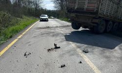 Kaza yapan sürücünün imdadına muhtar koştu