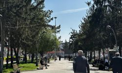 Sakarya'da güneşi gören dışarı çıktı