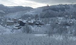 Sakarya'nın yüksek kesimleri beyaza büründü
