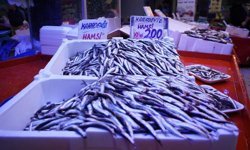 Sezonun son balıkları vatandaşla buluşuyor