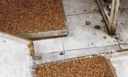 Kötü koku üzerine girilen evde mide bulandıran görüntü!