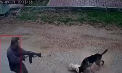 Eline aldığı tüfekle köpeklere sıktı!