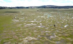 Doğanın sanata dönüştüğü nokta