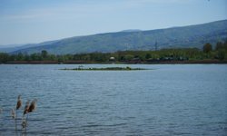 Sapanca Gölü çekildi: Gizemli ada yeniden ortaya çıktı