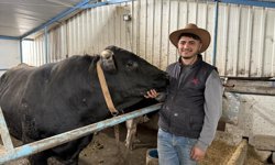 4 yaşındaki dev tosunları gören bir daha bakıyor