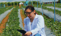 Sakarya'da tarımsal kalkınma hamlesi