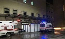 Karasu'da korkutan kaza