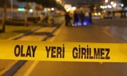 Kardeş kavgası kanlı bitti!