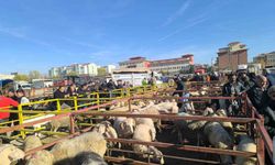 Sakarya canlı hayvan pazarı ne zamana kadar kapalı