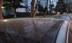 Sakarya'da çamur yağması bekleniyor!