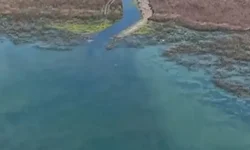 Yağışlar Sapanca Gölü'nü yükseltti