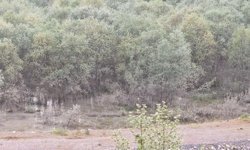 Rafting ölümle sonuçlandı!
